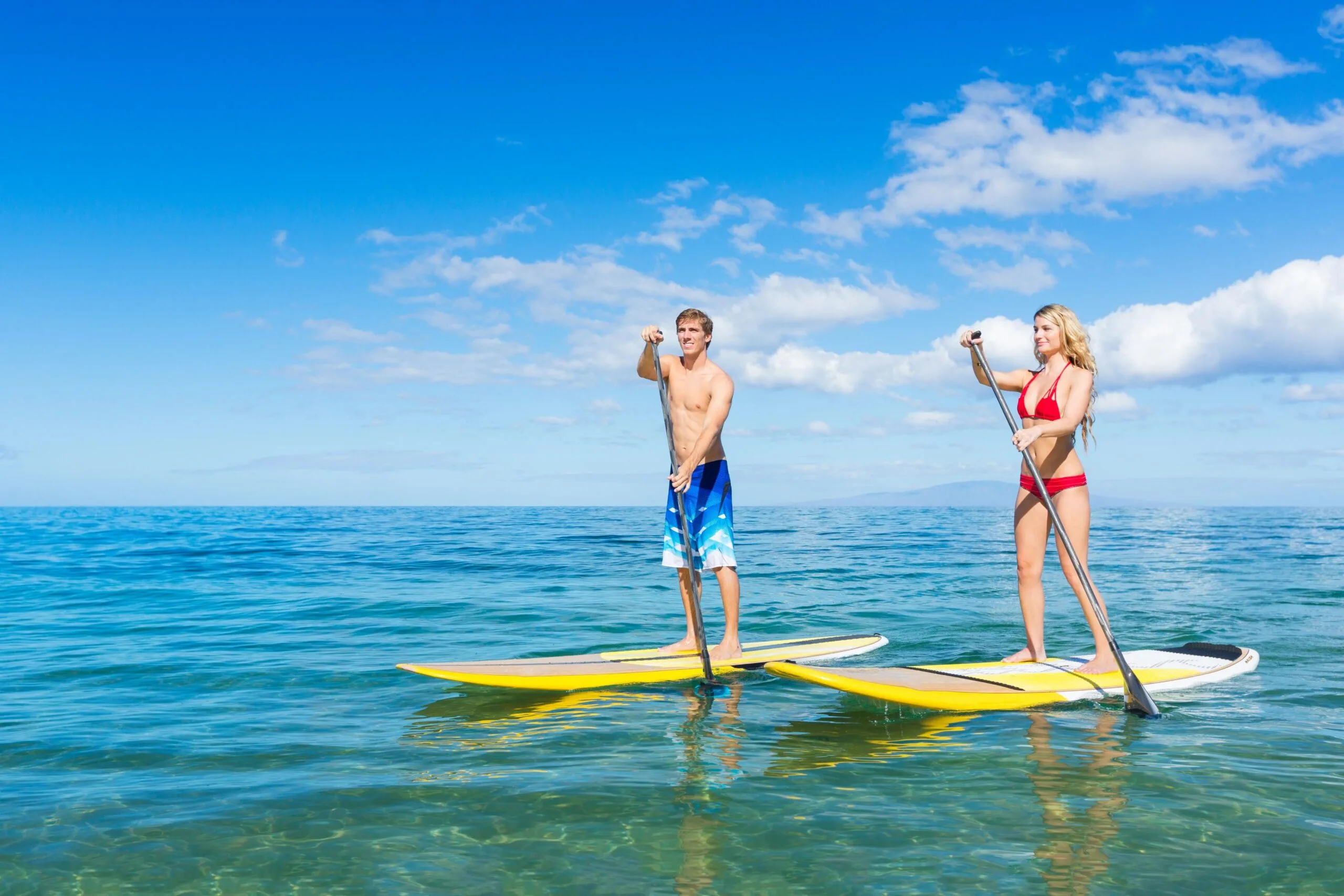 Paddle Board